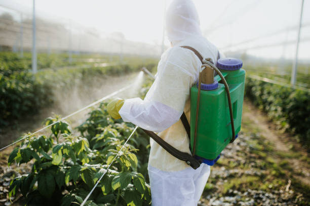 Professional Pest Control in Hartwell, GA